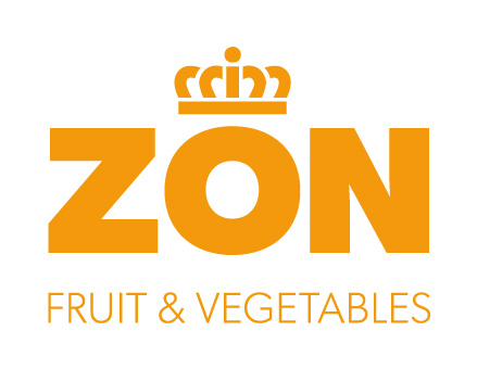 Zon Holding B.V.