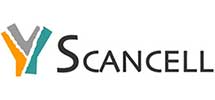 Scancell Holdings plc