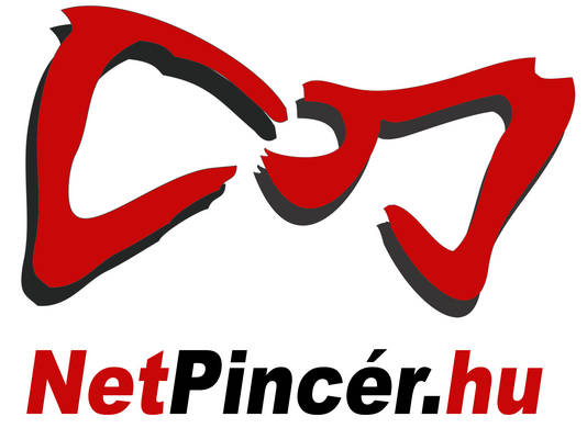 Netpincér