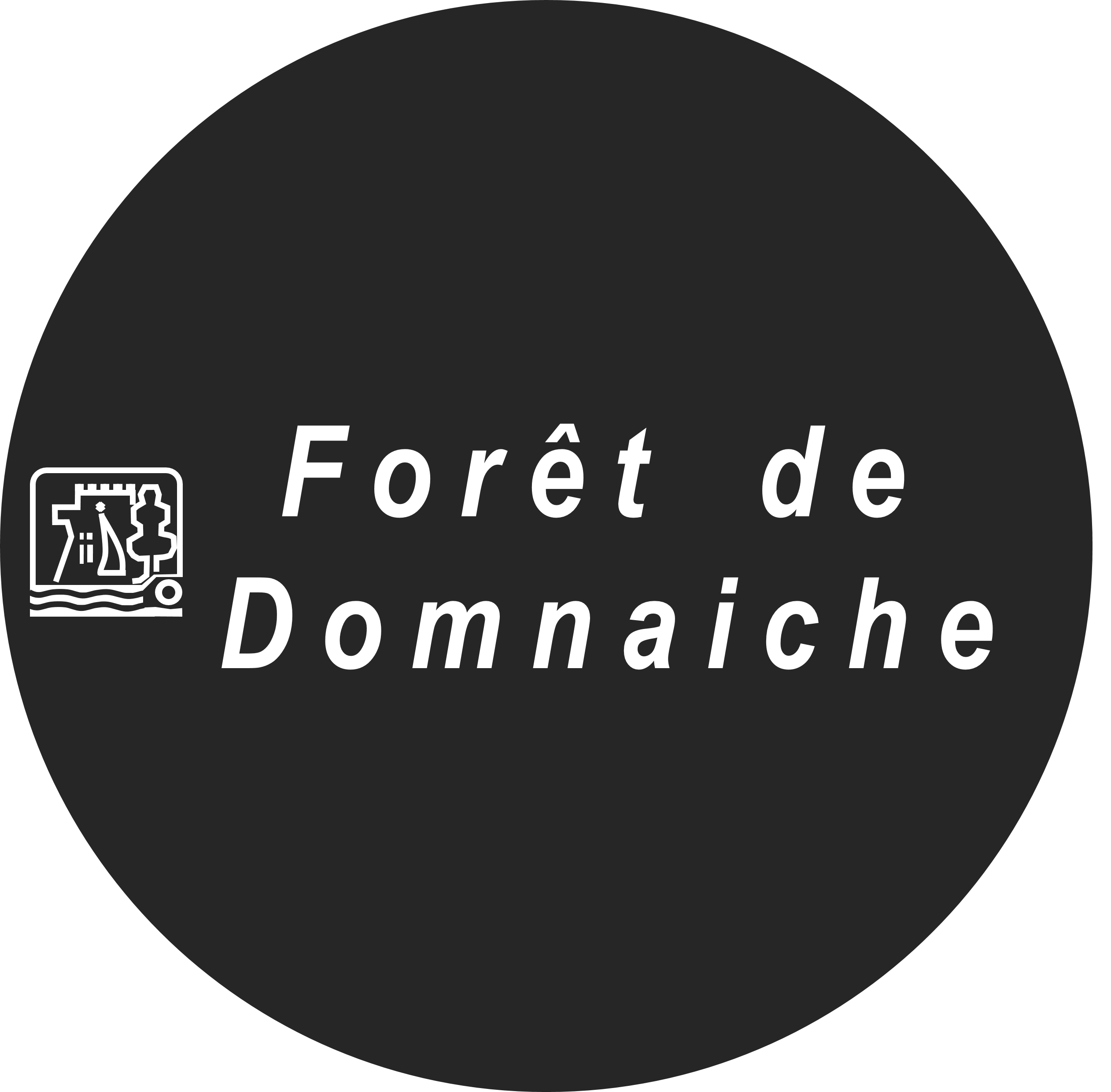Domnaiche