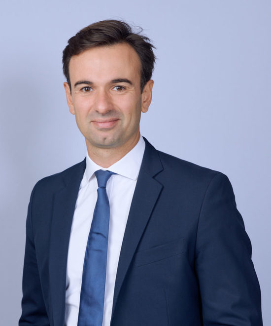 Nicolas Ibanez